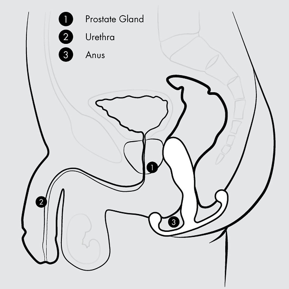 Aneros prostate